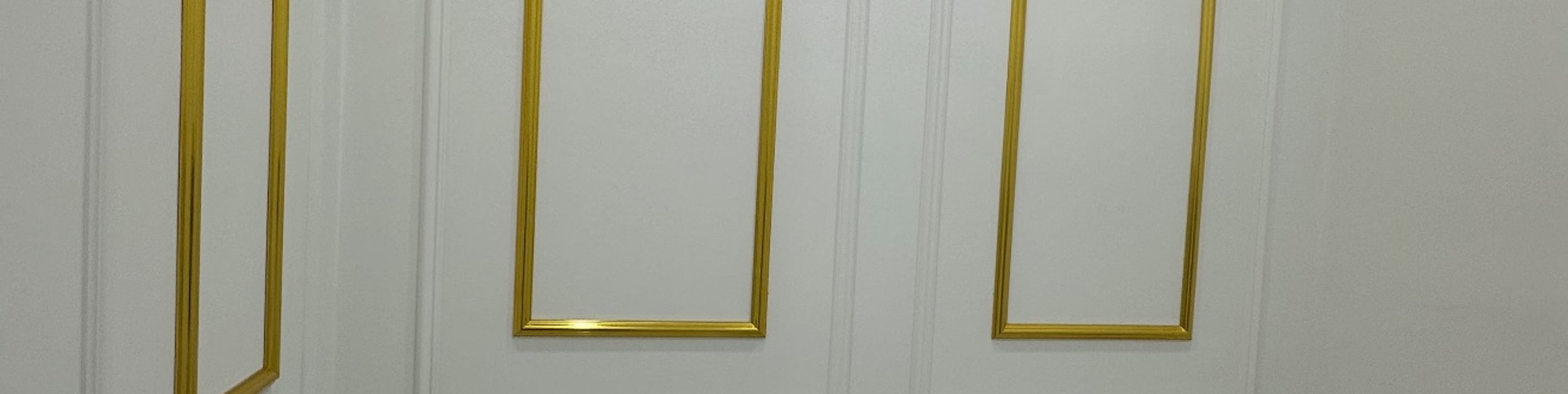 Entryway with white front door featuring glass panels